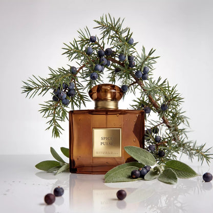 The Founder's Collection Spice Pulse Eau de Parfum 50 ml