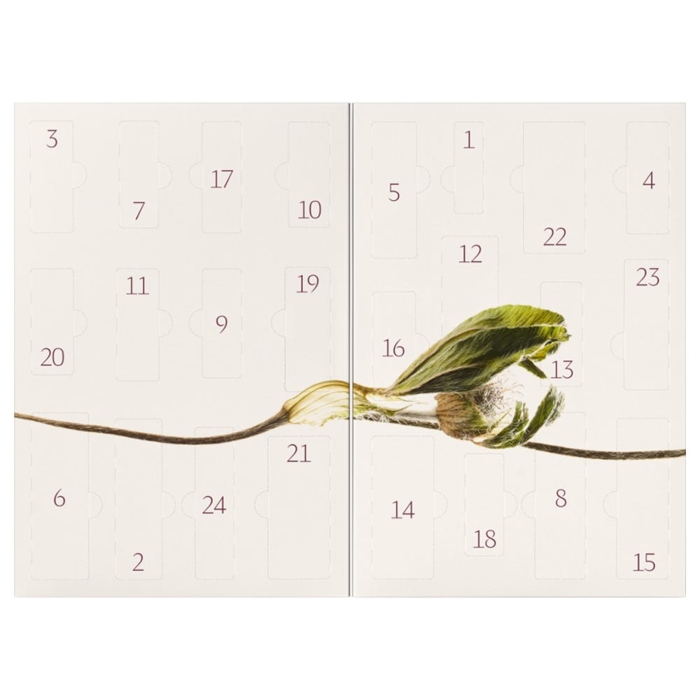 Dr. Hauschka BLISS WEIHNACHTEN Adventskalender