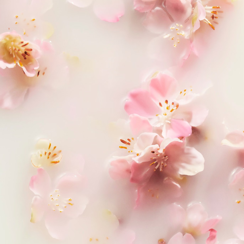 The Ritual of Sakura Body Lotion Mousse 150 ml